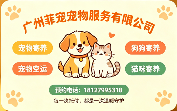 广州菲宠汕头线上分站